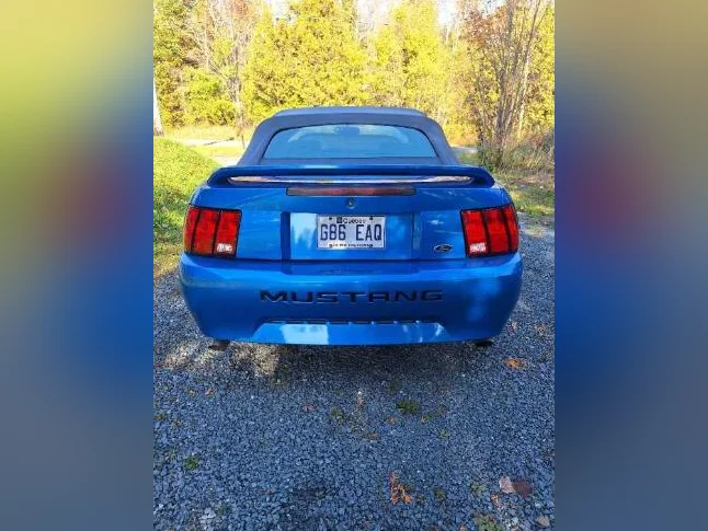 Mustang 2000 thumbnail 5