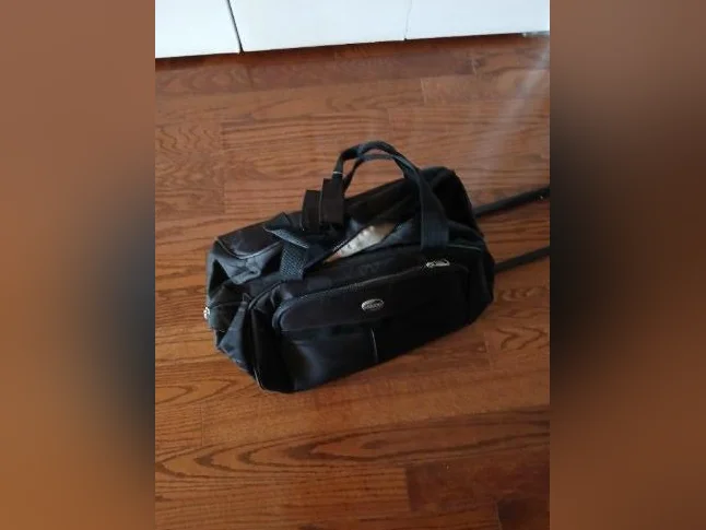 sac de cabine sur roulette
