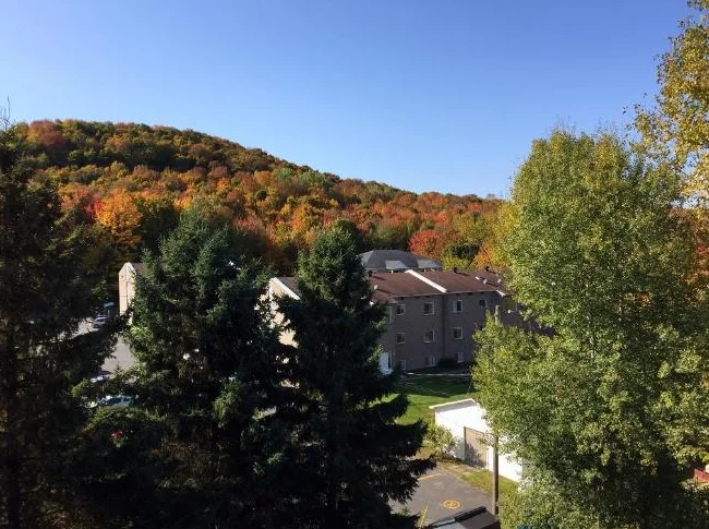 3 1/2 Bromont thumbnail 2