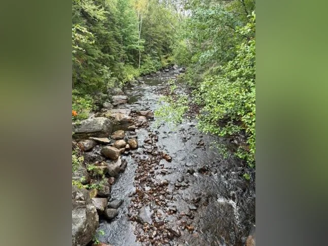 Projet de chalets à louer ( Saint-Donat, près du Parc Tremblant) thumbnail 2
