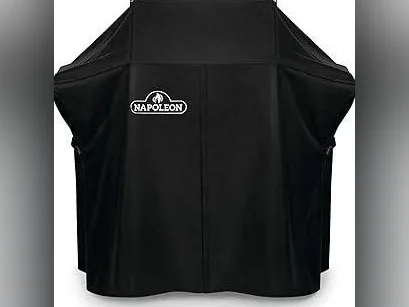 BBQ NAPOLEON thumbnail 2
