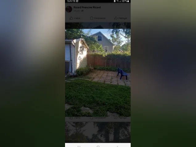 Homme à tout faire