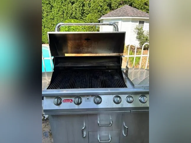 BBQ BULL thumbnail 4