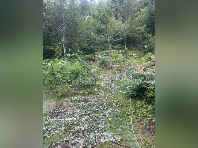 Entretien de terrain