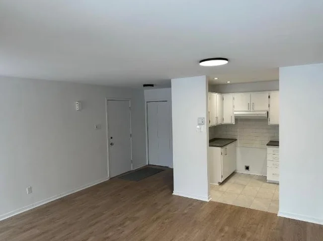 41/2 à louer regard sur le parc Louis-Riel quartier Mercier Hochelaga Maisonneuve thumbnail 3