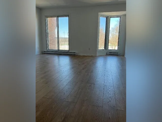 41/2 à louer regard sur le parc Louis-Riel quartier Mercier Hochelaga Maisonneuve thumbnail 4