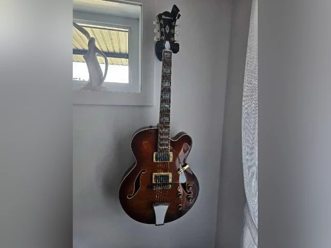 Je cherche quelqu'un pour me faire vibrer Ibanez AF95