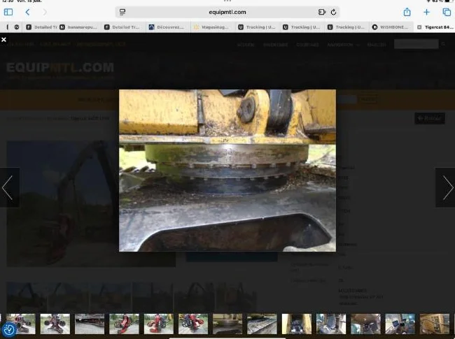 À vendre bûcheuse/abatteuse multifonctionnelle thumbnail 10