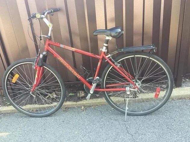 Vélo hybride Raleigh Sentinel 21 vitesses – Excellent état (2001)