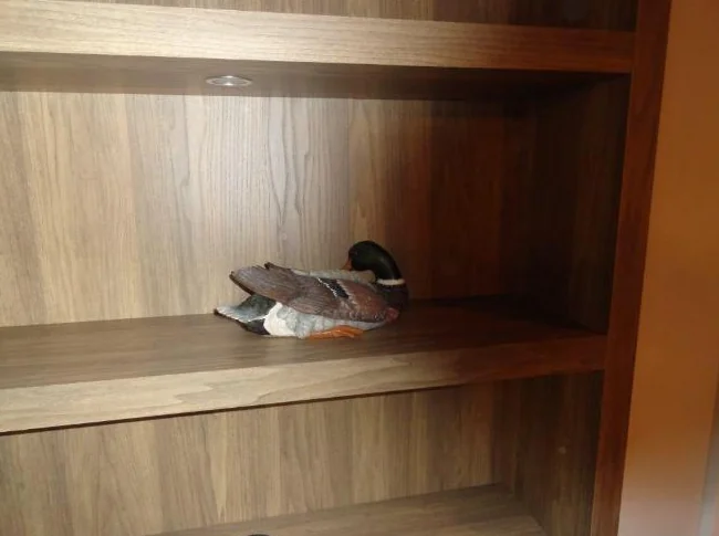 Canards pour collection ou décoration thumbnail 9
