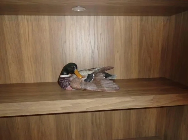 Canards pour collection ou décoration thumbnail 7
