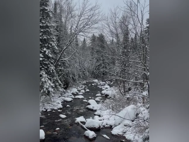Terrain sur ruisseau (Saint-Donat) thumbnail 4