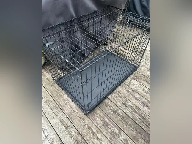 Cage pour chien thumbnail 2
