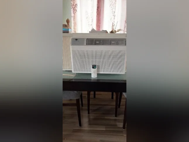 Air climatisé de fenêtre