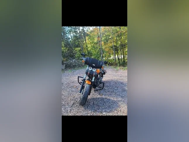 harley davidson Dyna fat bob thumbnail 4