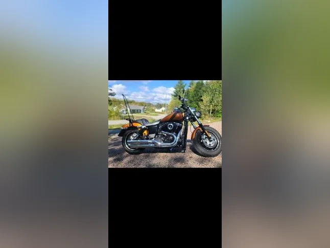 harley davidson Dyna fat bob