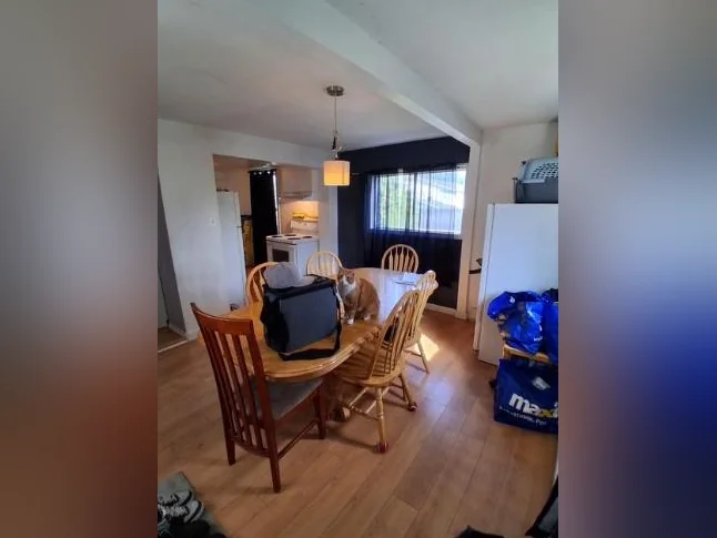 4 1/2 à louer Salaberry-de-Valleyfield
