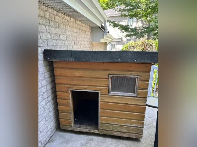 NICHE EN BOIS POUR CHIEN