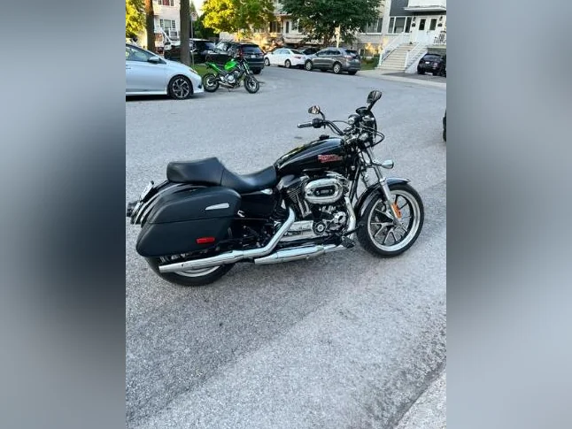 Harley Davidson   Sporster 1200 Custom  2014 /  36,000  KL ( Tres belle moto   Pneu neuf  et suspension Olin ) 2 pares brises