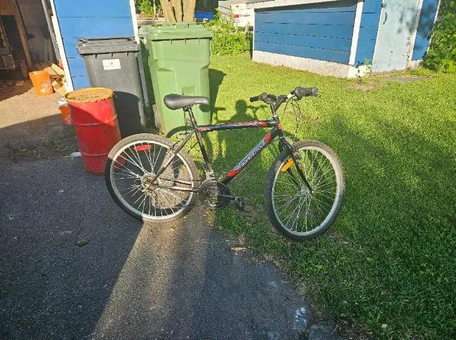 Velo