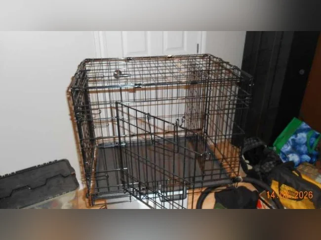 Cage pour chat/-chien