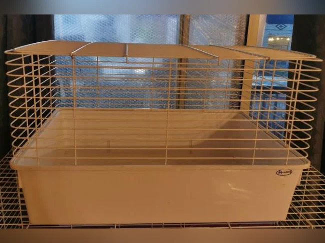 Cage Rongeur Blanche