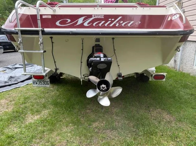 Bateau seau ray 20pi avec moteur intégré 190hp thumbnail 3
