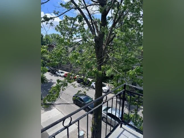 Studio à louer – Plateau Mont-Royal (possibilité de stationnement)