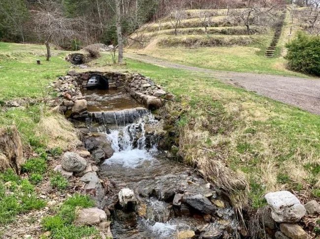 Magnifique domaine de 30 acres avec verger thumbnail 3