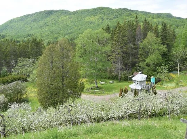 Magnifique domaine de 30 acres avec verger thumbnail 5