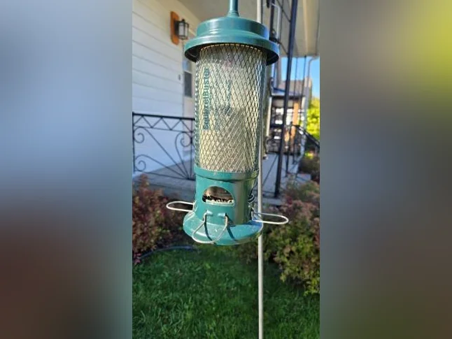 MANGEOIRE POUR OISEAUX.