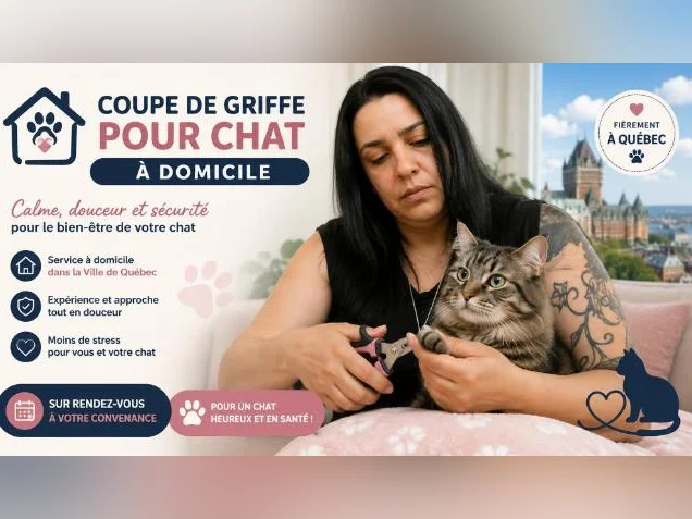 Coupe de griffe pour chat à domicile