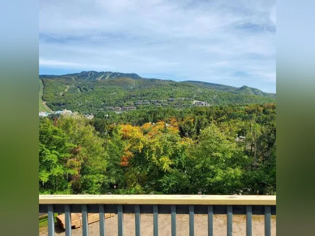 Logement à louer Mont-tremblant thumbnail 2