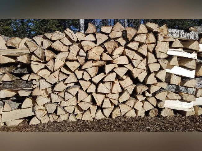 Bois de chauffage ou bois de camping !