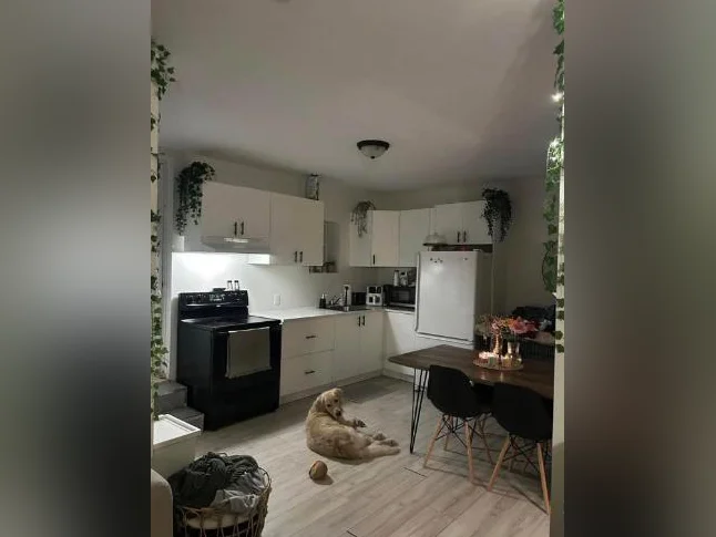 3 1/2+bureau Lévis 🐶chien accepté🐶 thumbnail 3