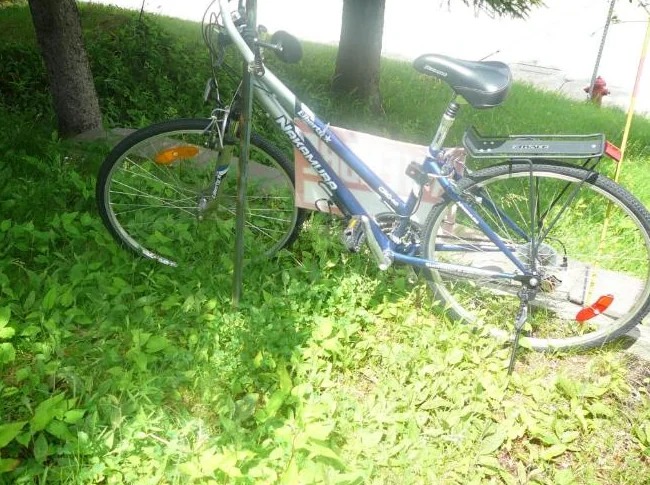 Vélos thumbnail 8