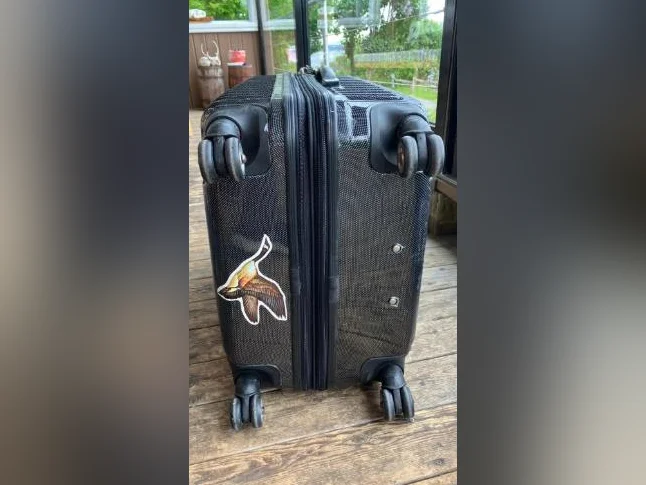 Valise