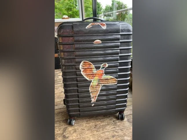 Valise thumbnail 3