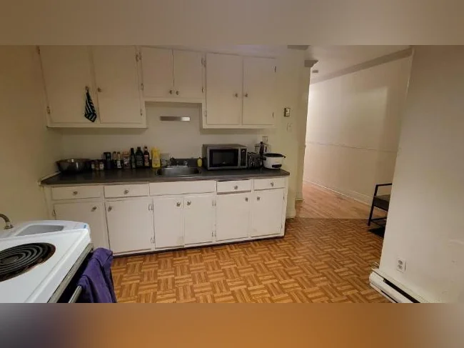 Appartement 3 1/2 Montréal, métro Joliette thumbnail 9