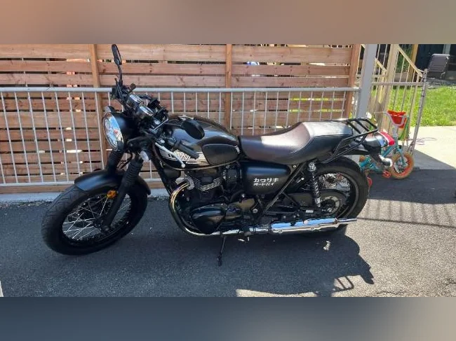 Kawasaki W800 Cafe 2019 thumbnail 2