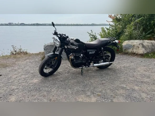 Kawasaki W800 Cafe 2019 thumbnail 6
