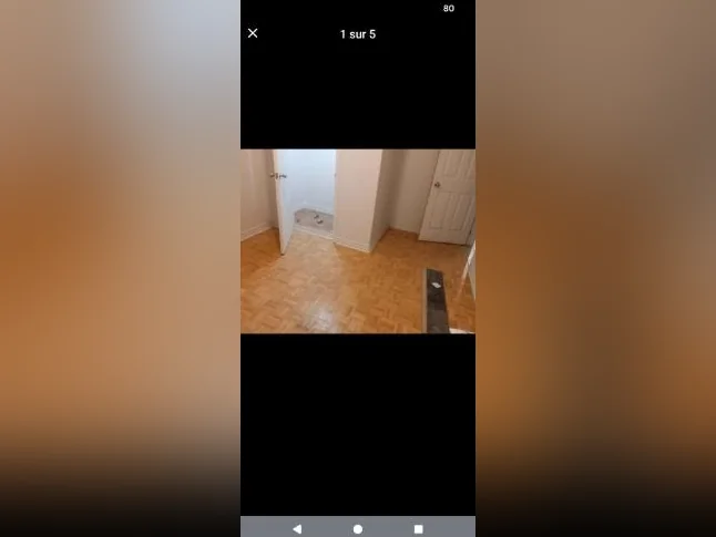 Logement à louer