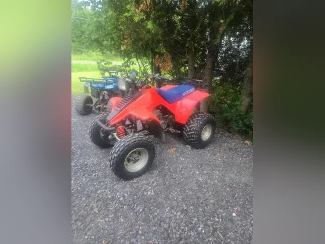 Suzuki lt230 1987 thumbnail 2