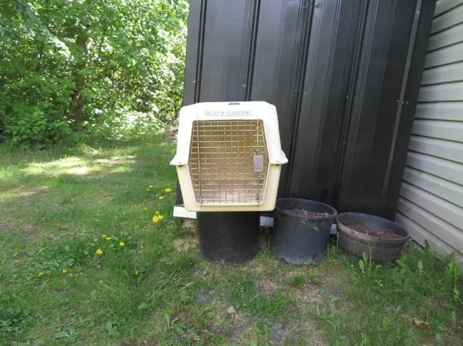cage