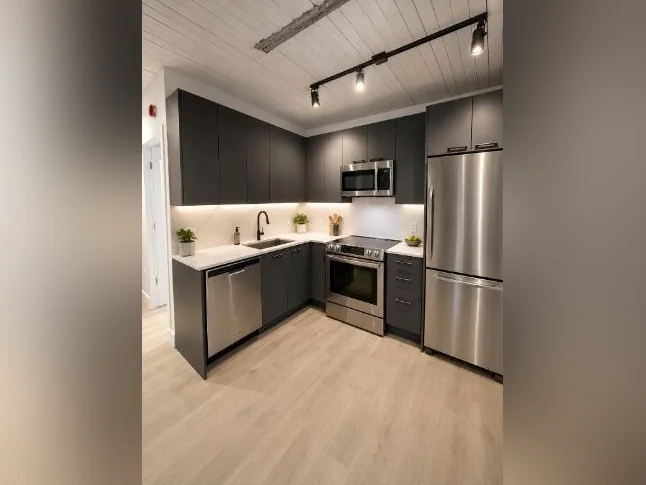 Spacious 3 1/2 in the heart of Hochelaga thumbnail 3