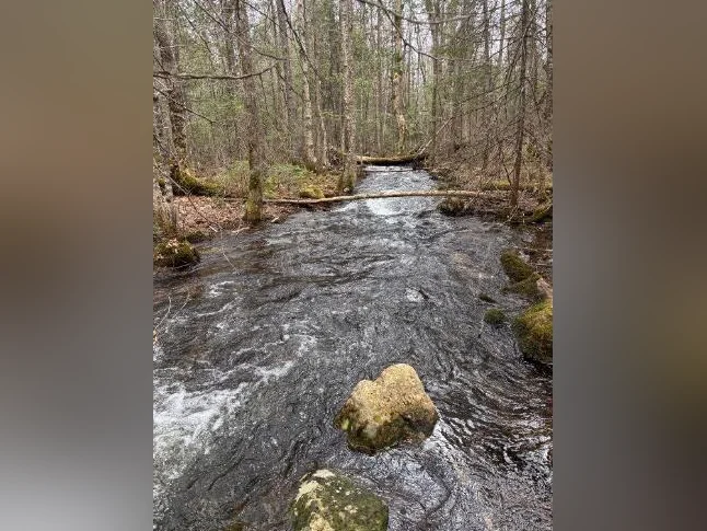 Terrain hautes Laurentides thumbnail 4