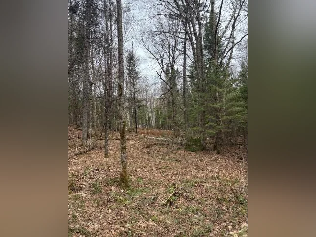 Terrain hautes Laurentides thumbnail 3