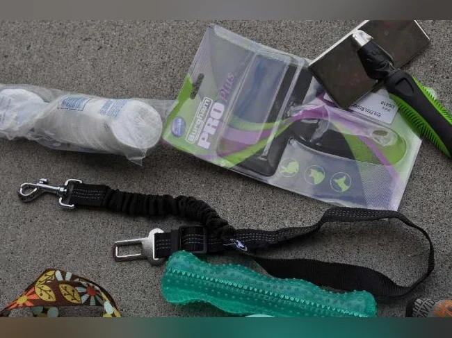 Accessoires pour chiots ou chiens thumbnail 5