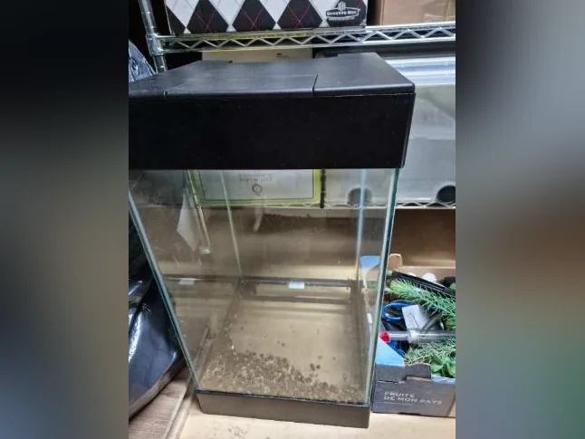 Aquarium thumbnail 3