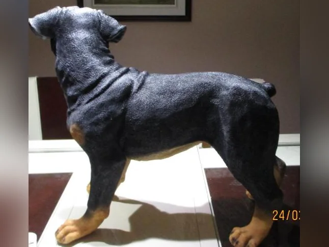 Ce n'est pas un vraie chien, il est en résine, il est grandeur nature, Devant une porte il fait figure de sécurité thumbnail 4